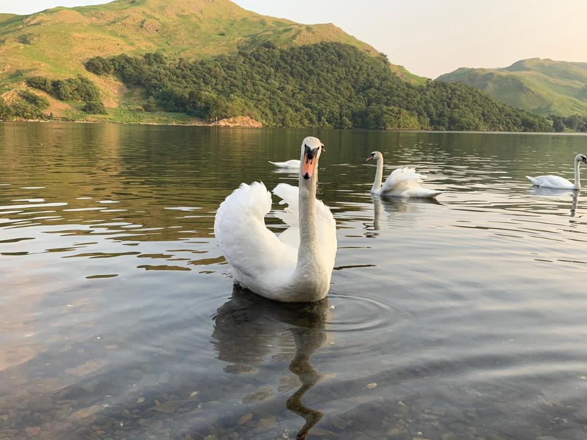 The Ullswater View Guest House Watermillock Εξωτερικό φωτογραφία